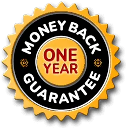 Pineal Awakening One Year